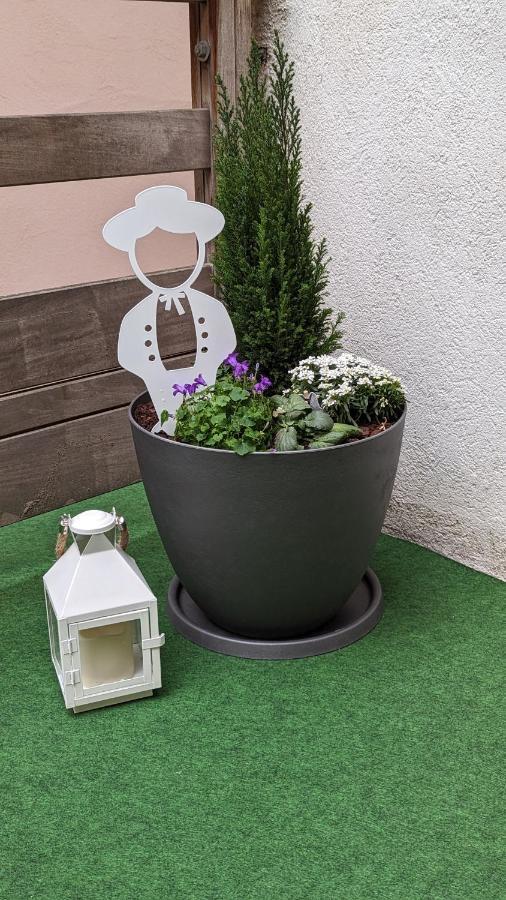Appartement Chez Mar'Tine Niederbronn-les-Bains Ngoại thất bức ảnh